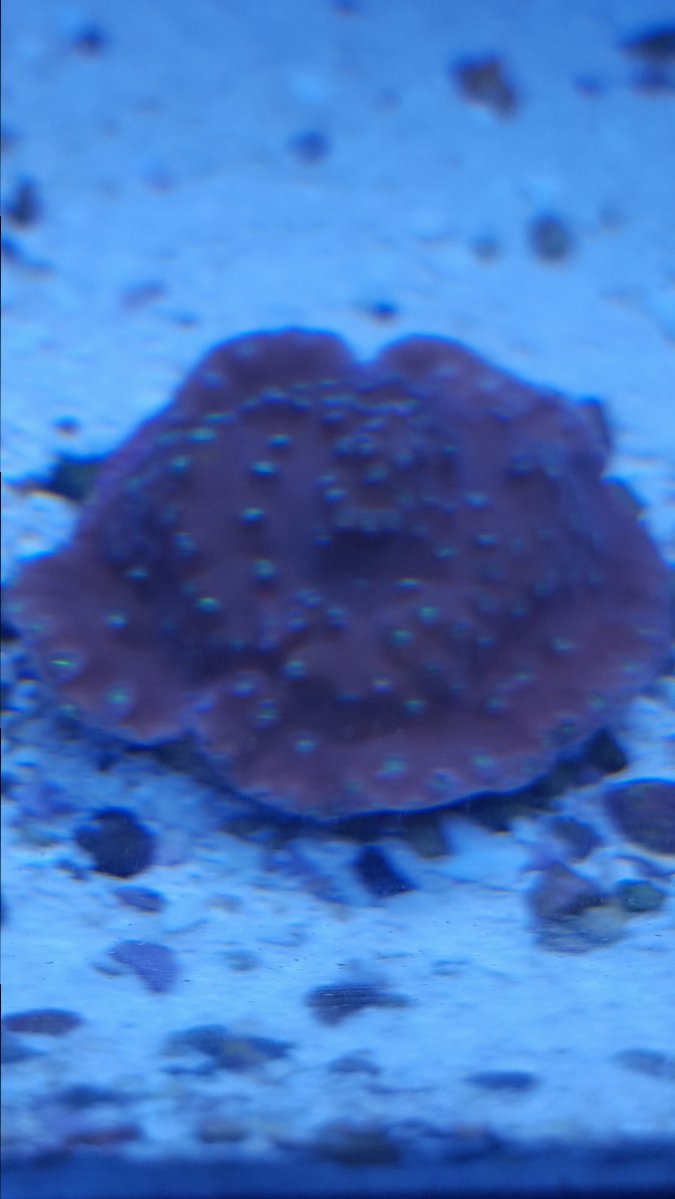 20171028_191210.jpg