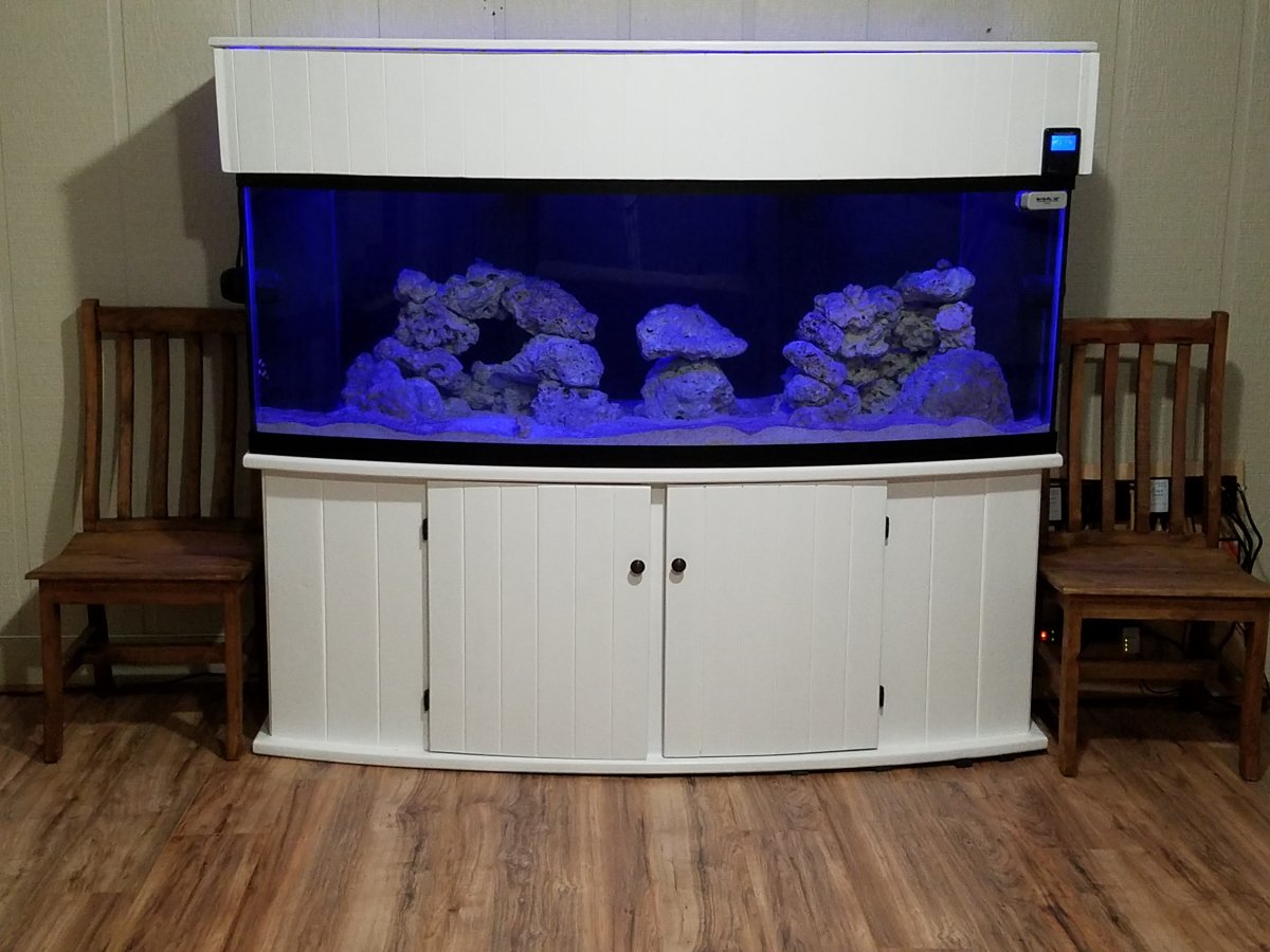 Has anyone painted the inside of your reefer cabinet white? | Reef2Reef
