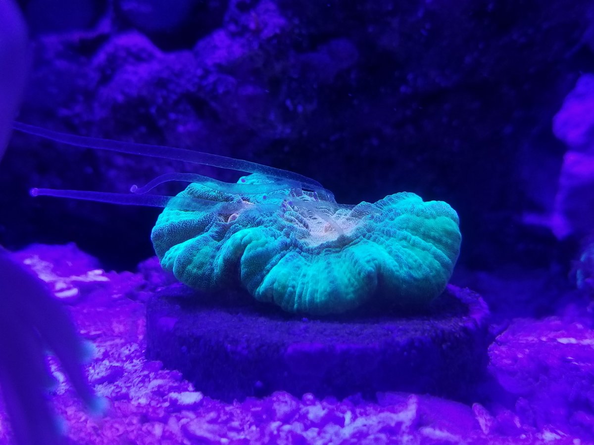 20171029_150113.jpg