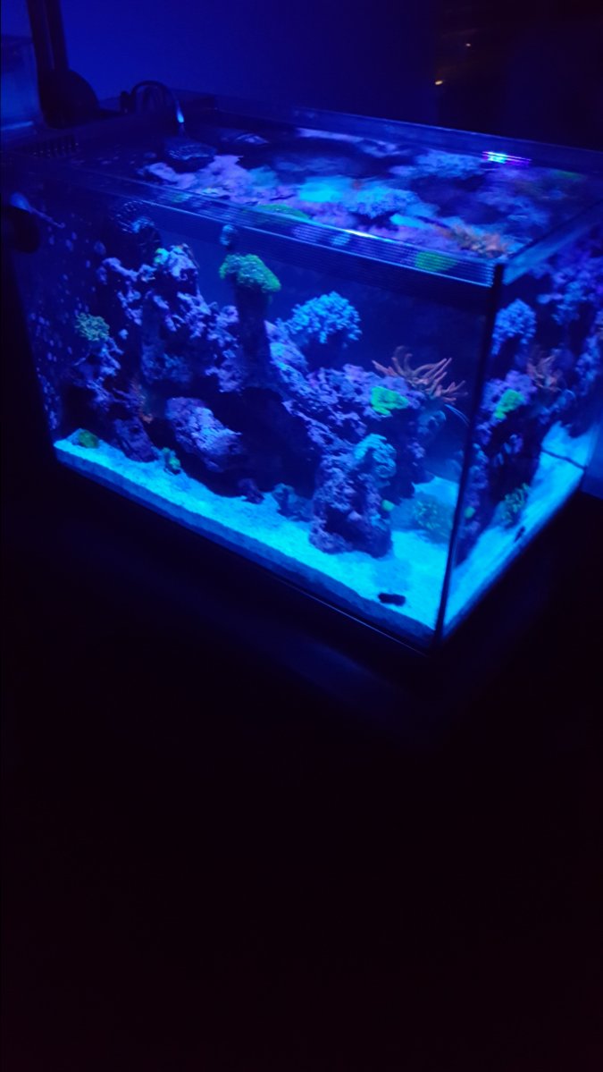 20171102_214431.jpg