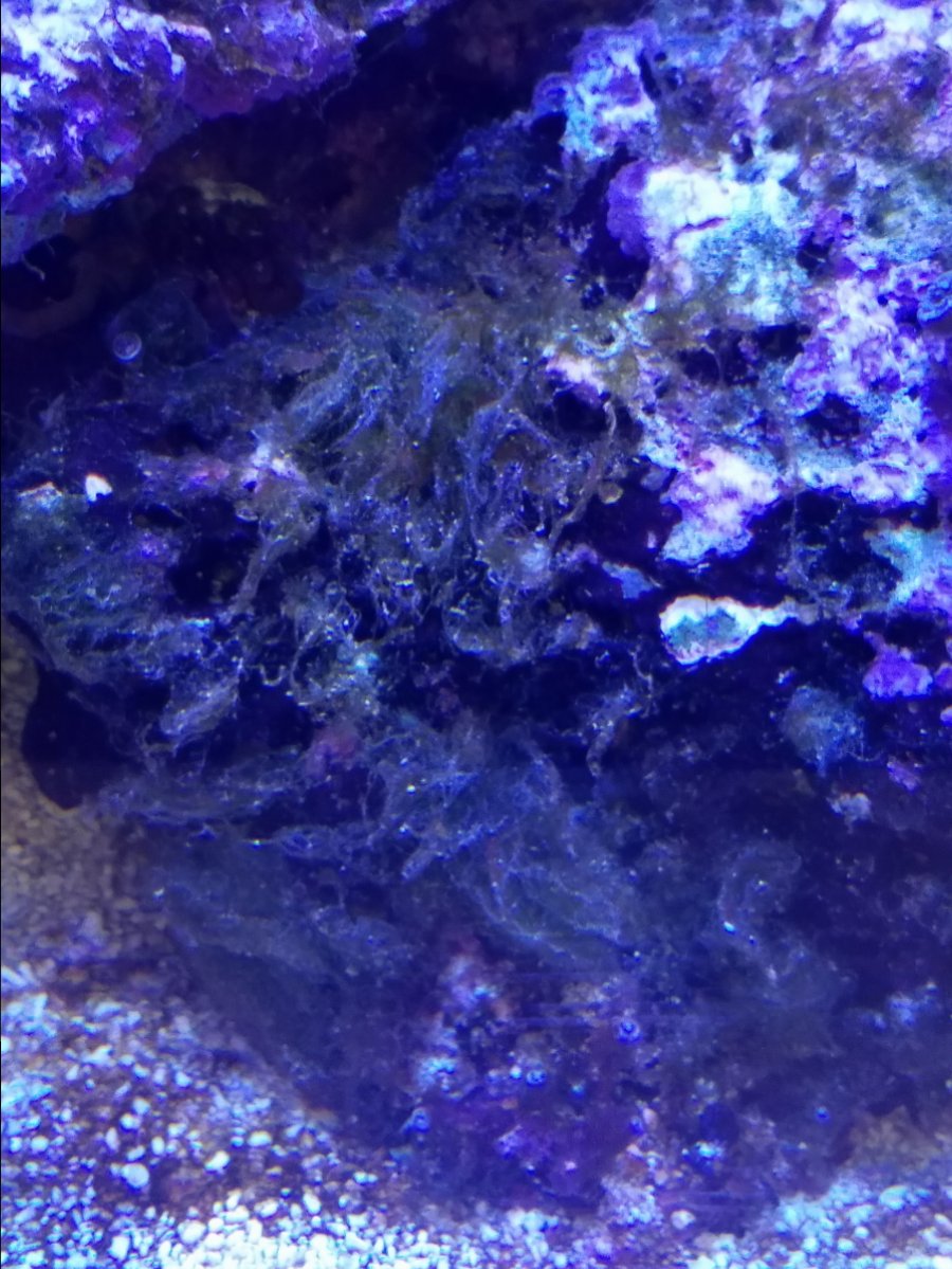 20171107_104353.jpg
