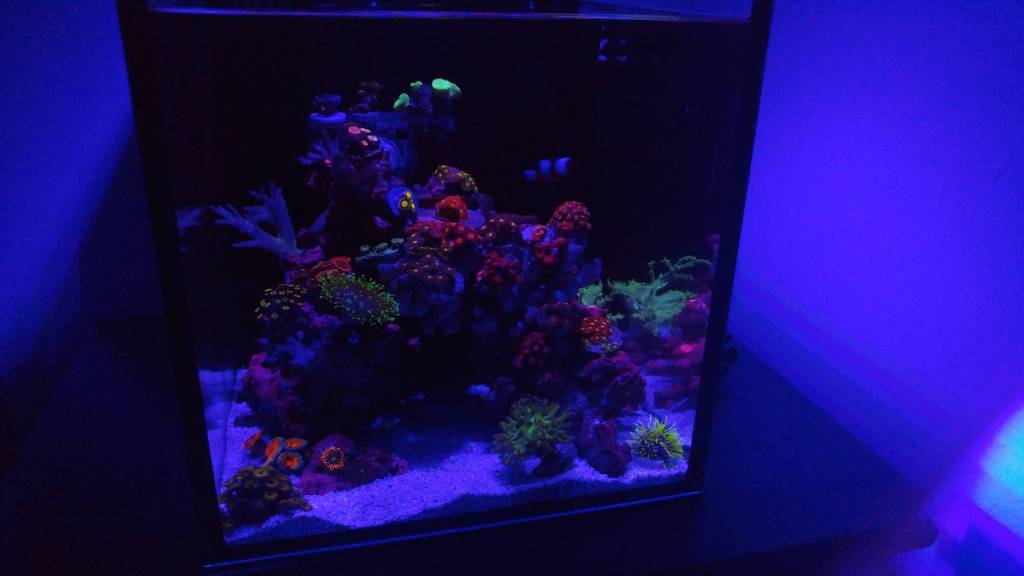 20171108_190148.jpg