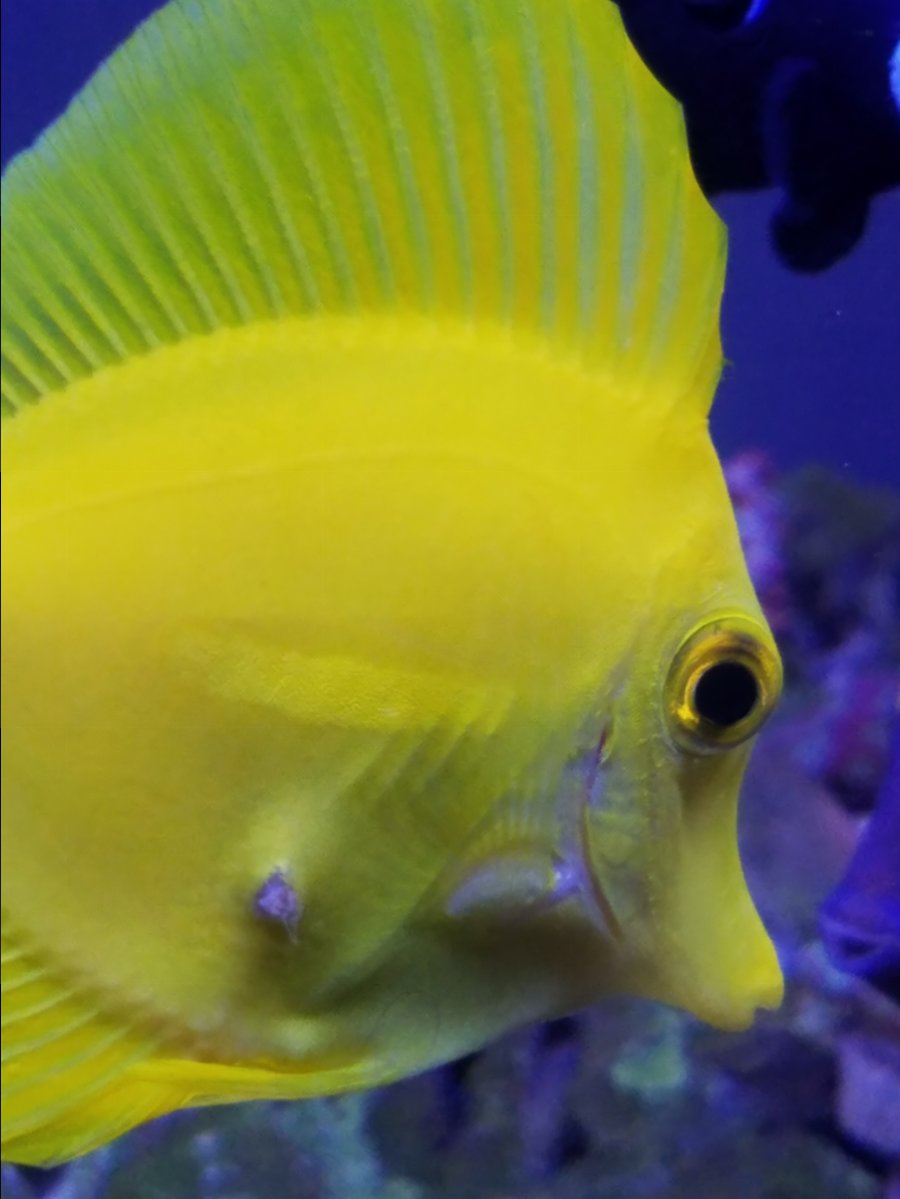 20171113_161126.jpg