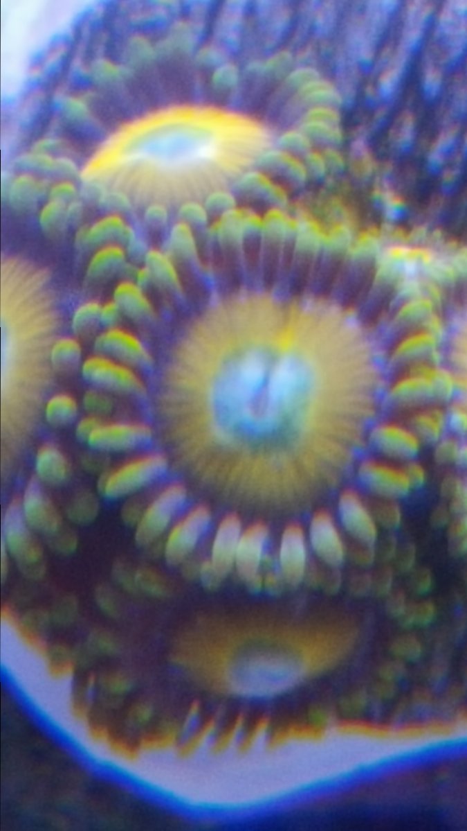 20171116_142002.jpg