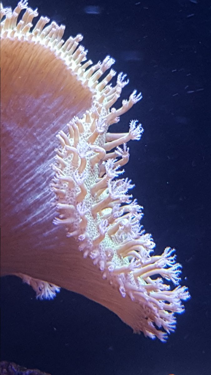 20171116_142153.jpg