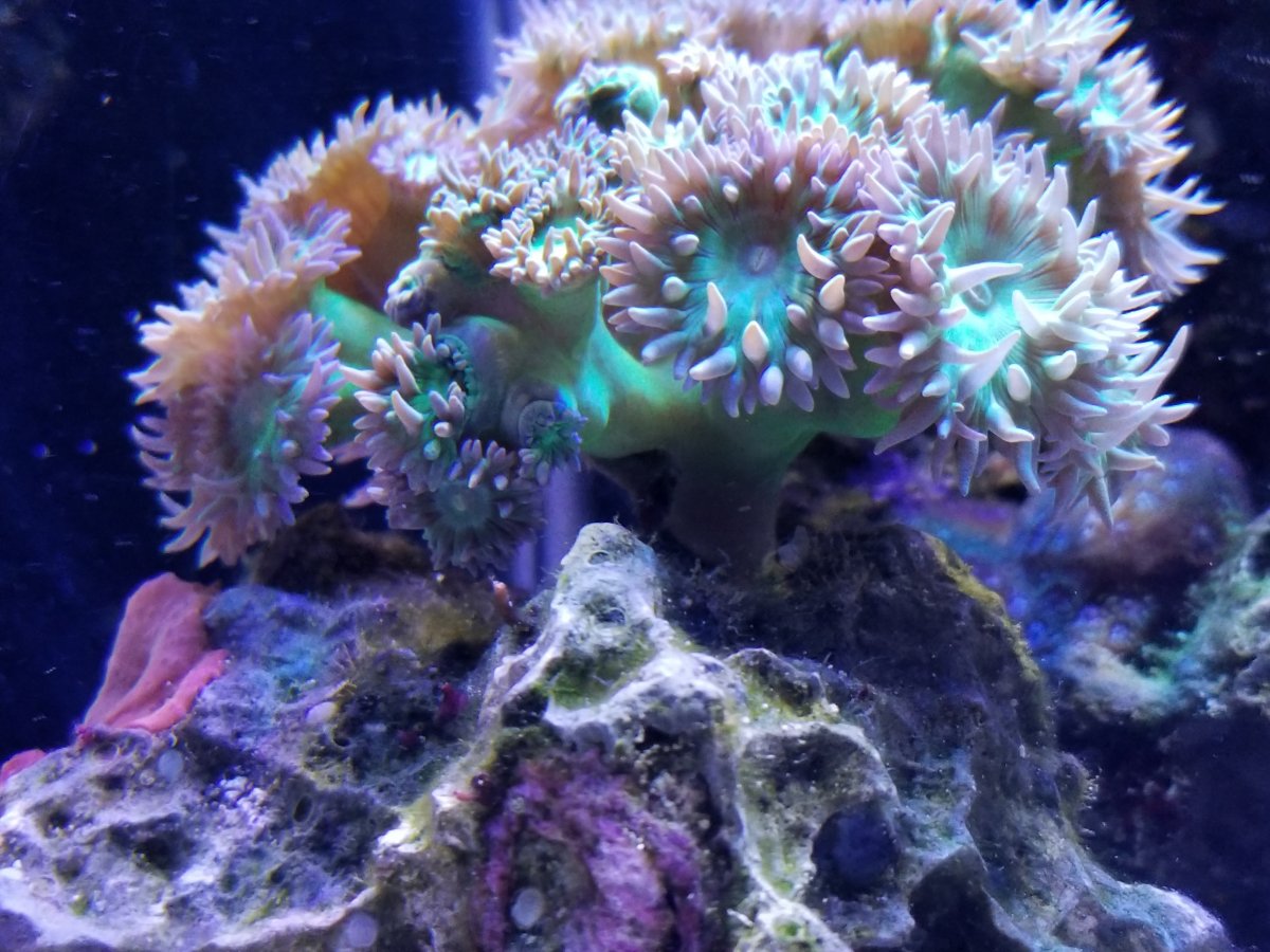 20171116_174458.jpg