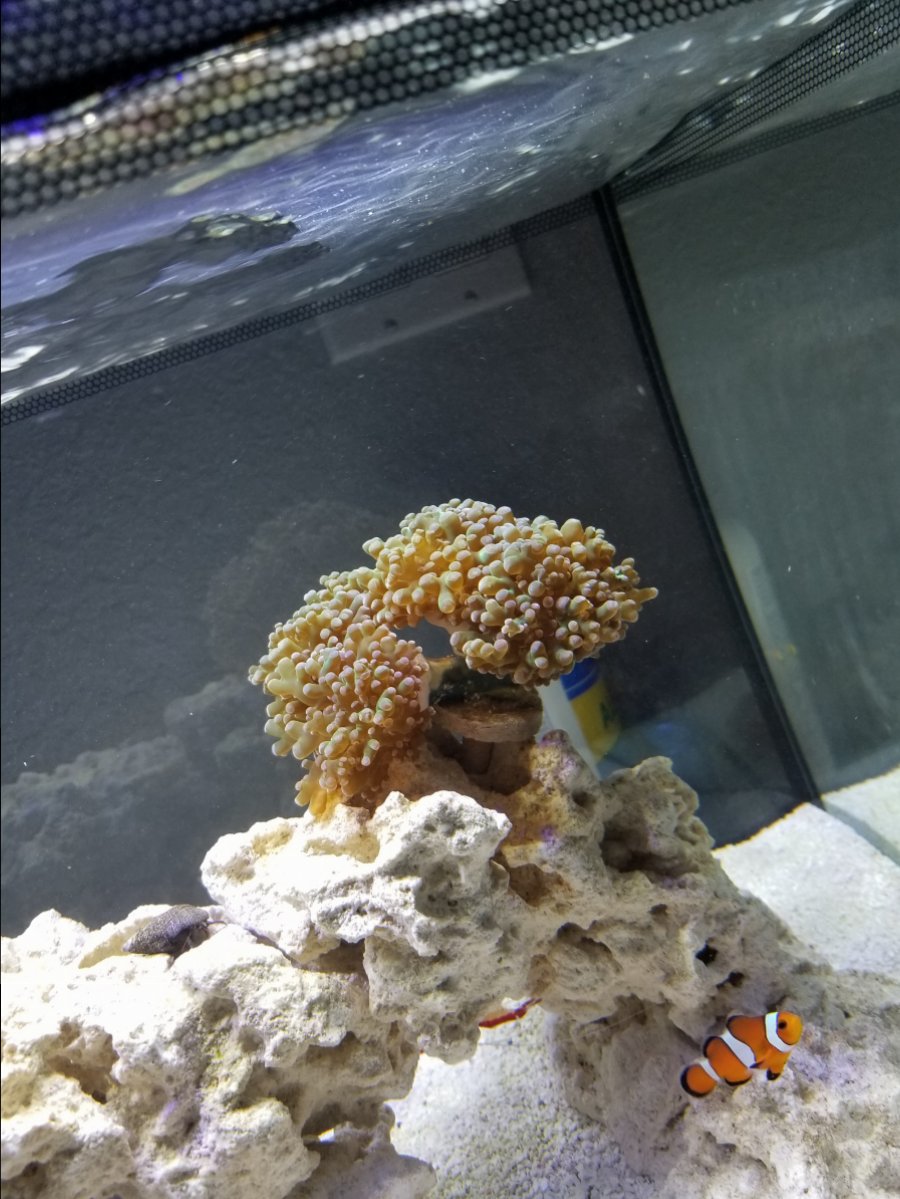 20171117_181445.jpg