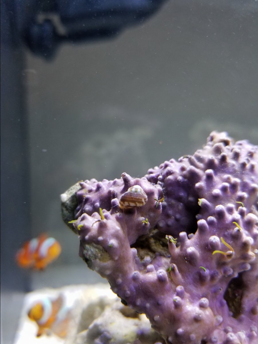 20171118_225541.jpg