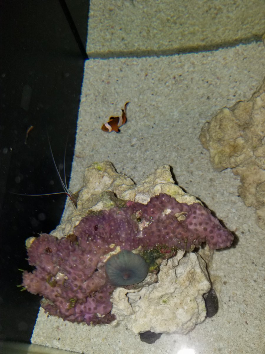 20171118_230808.jpg