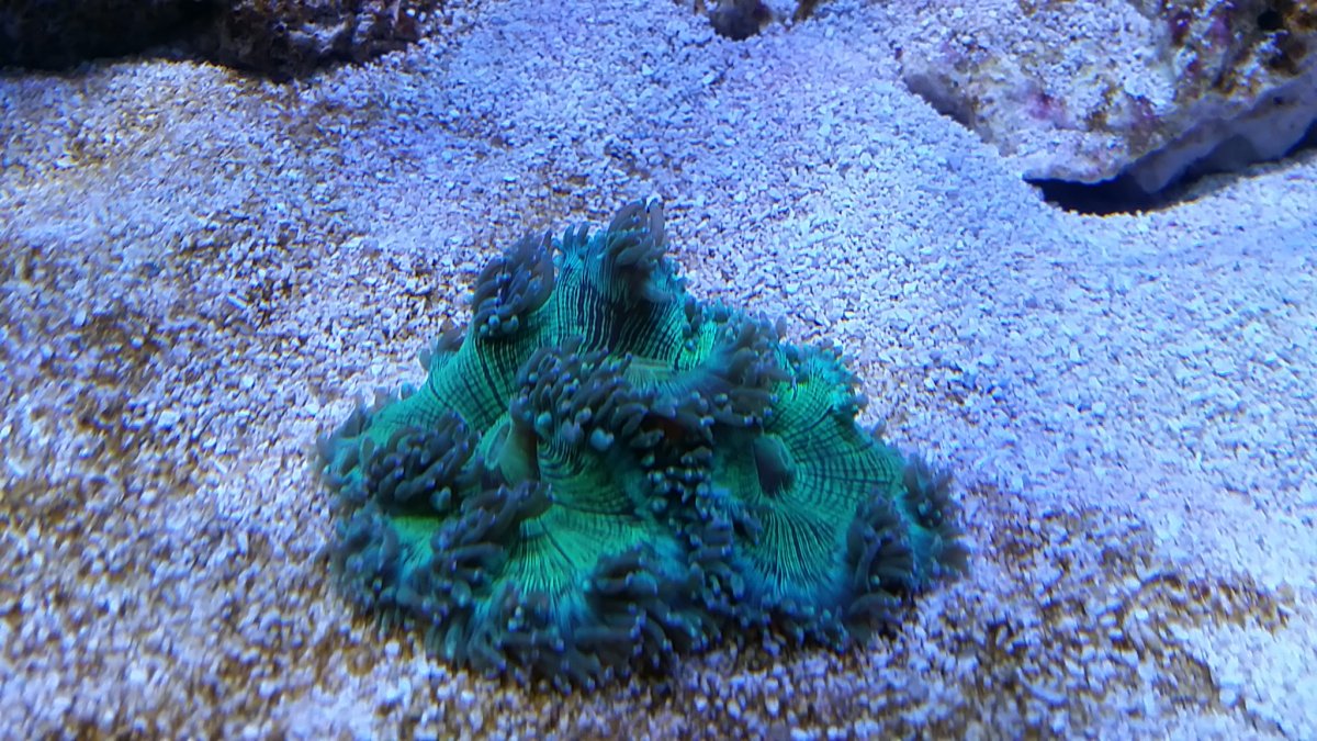 20171119_152841.jpg