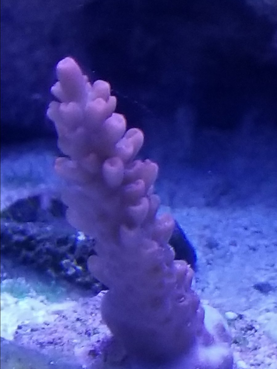 20171119_163052.jpg