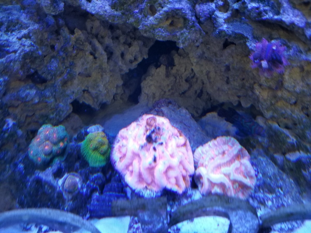 20171123_133147.jpg