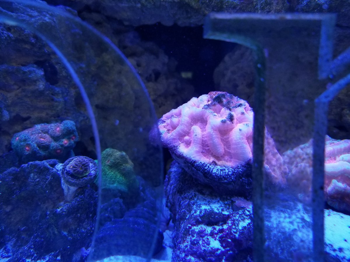 20171123_133159.jpg