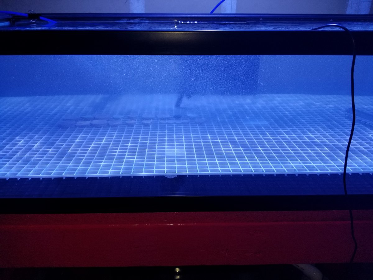 20171127_213604.jpg