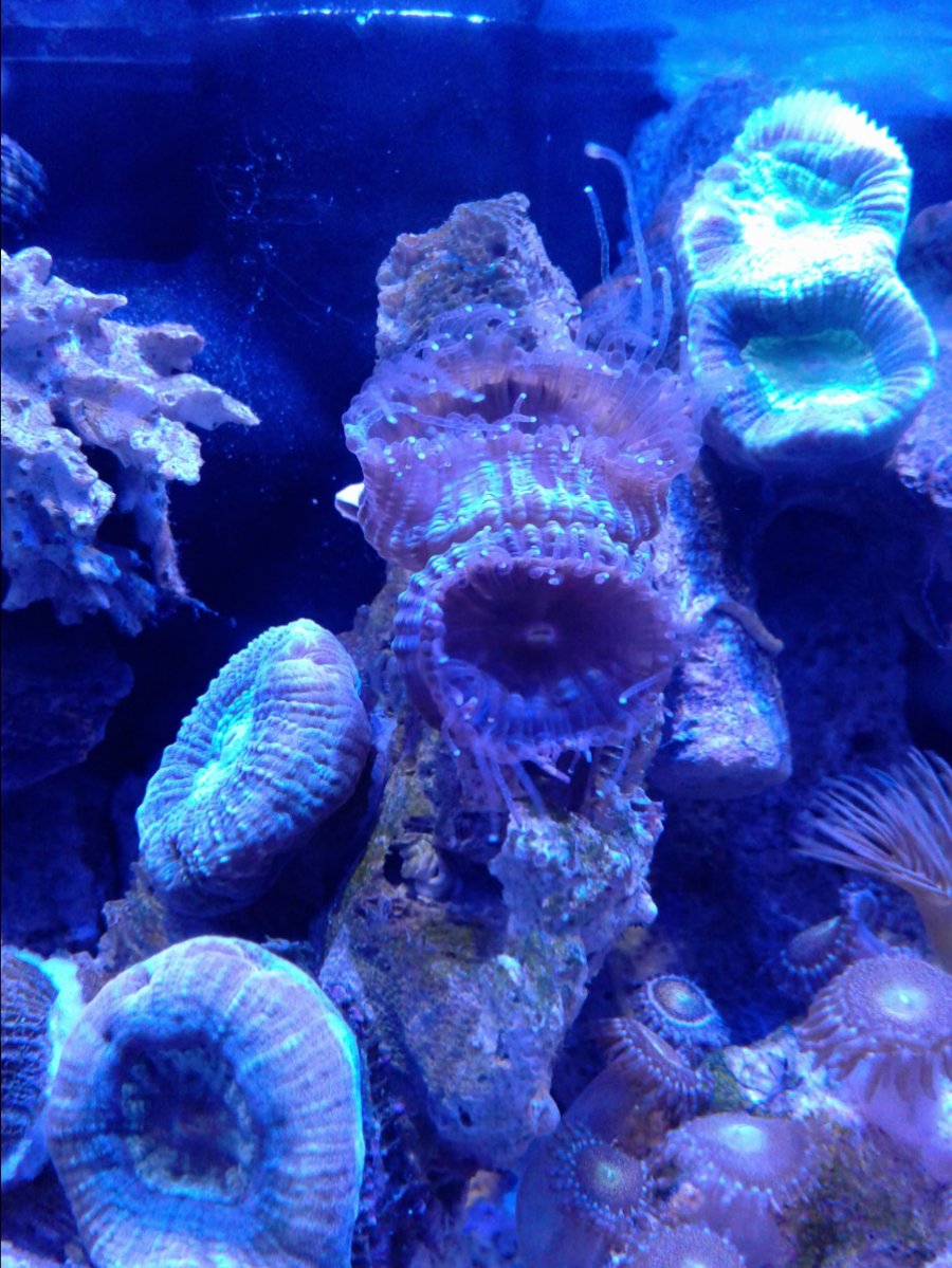 20171129_190417.jpg