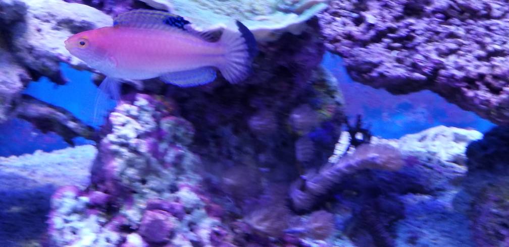 20171130_142249.jpeg