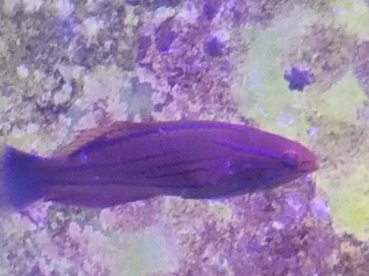 20171202_132432.jpg