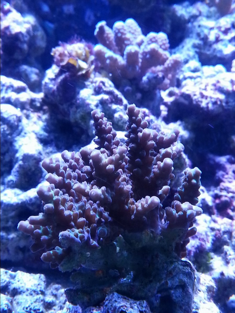 20171204_175553.jpg