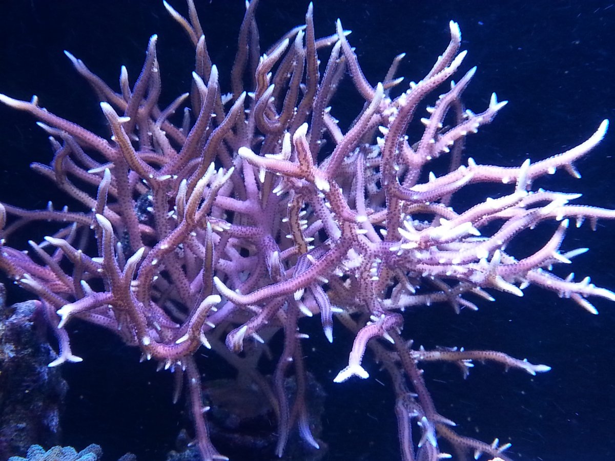 20171204_175812.jpg