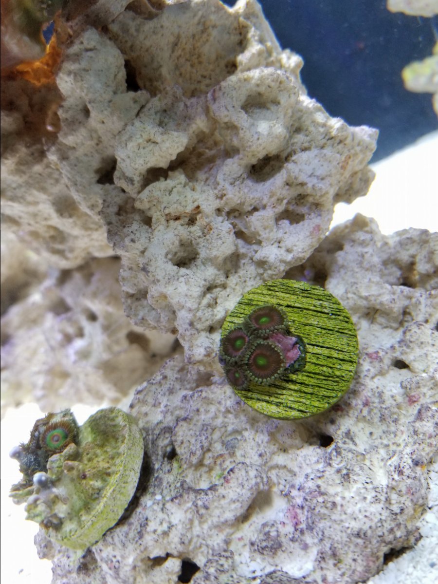 20171204_193840.jpg