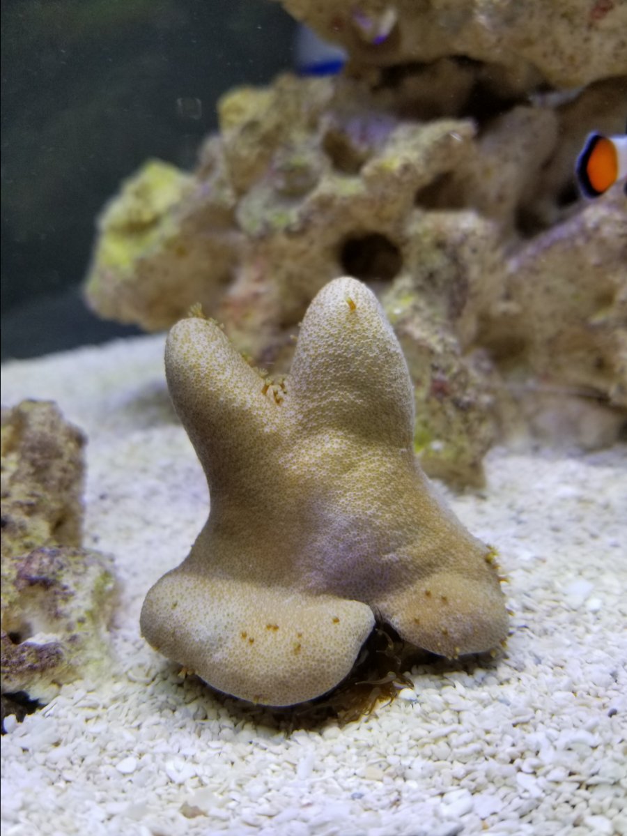 20171204_193844.jpg