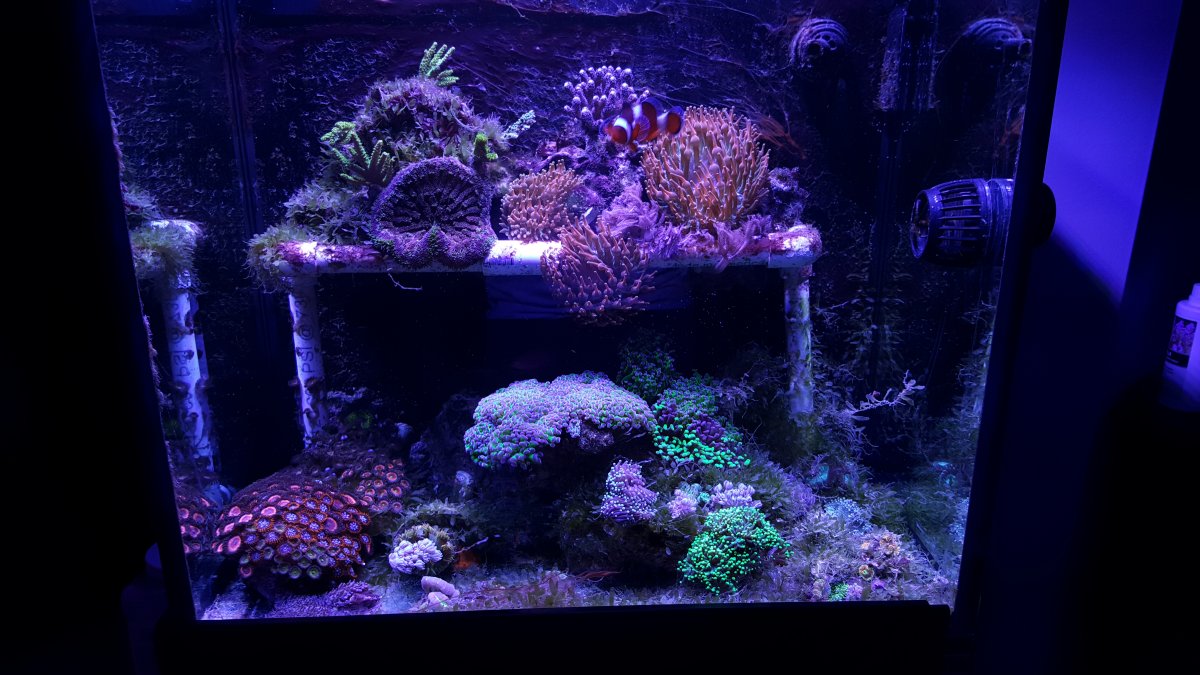 20171206_213909.jpg
