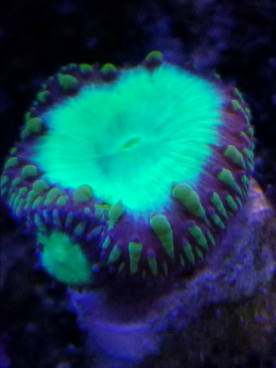 20171210_171222.jpg