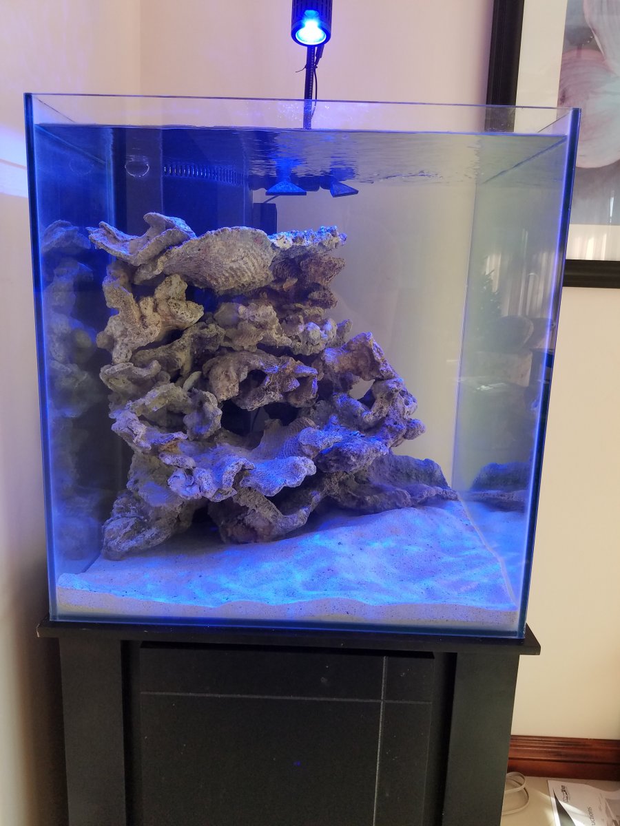 60 gallon Cube tank build  REEF2REEF Saltwater and Reef Aquarium