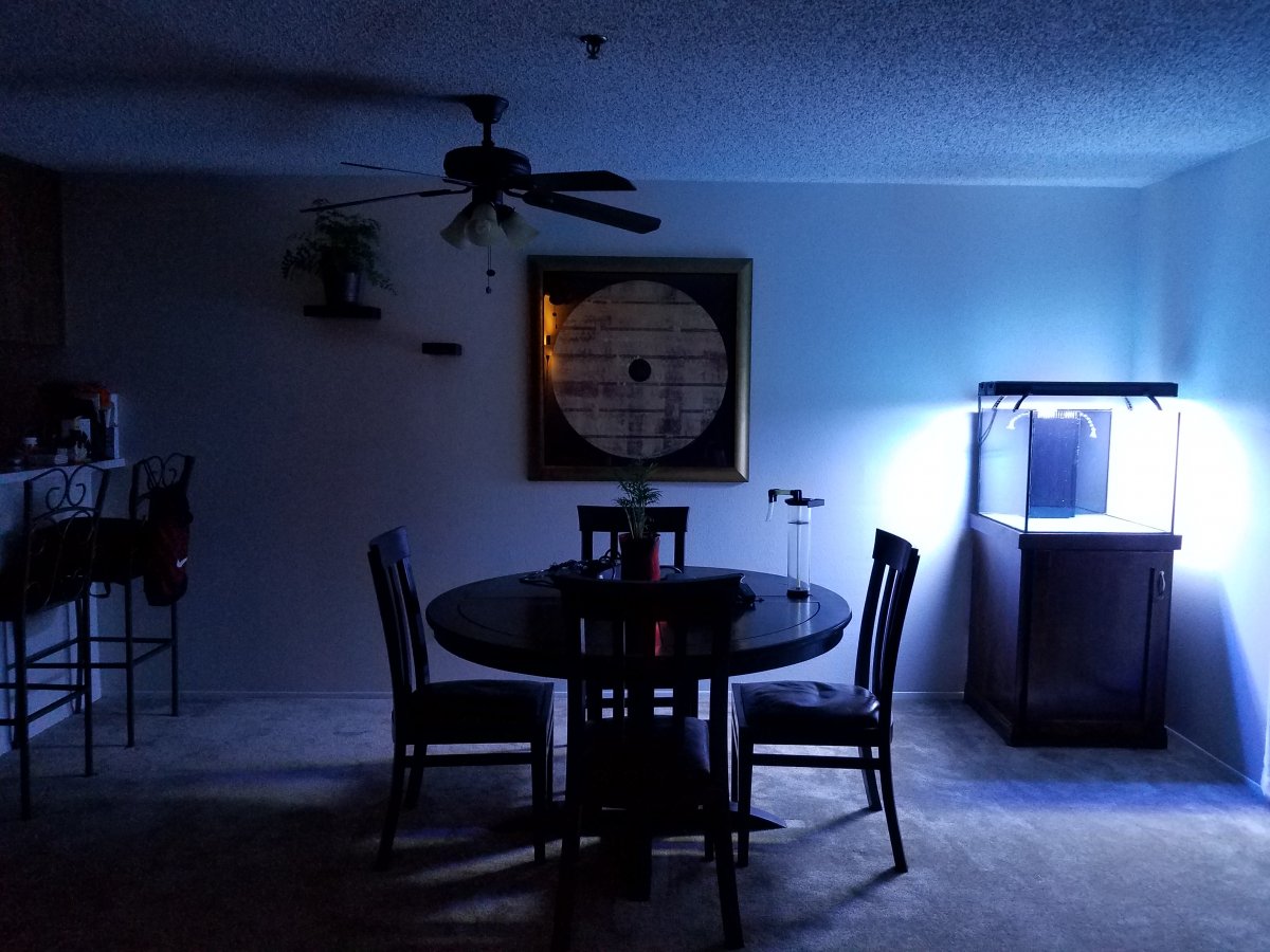 20171216_172349.jpg