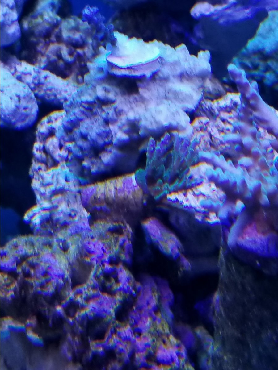 20171222_222204.jpg