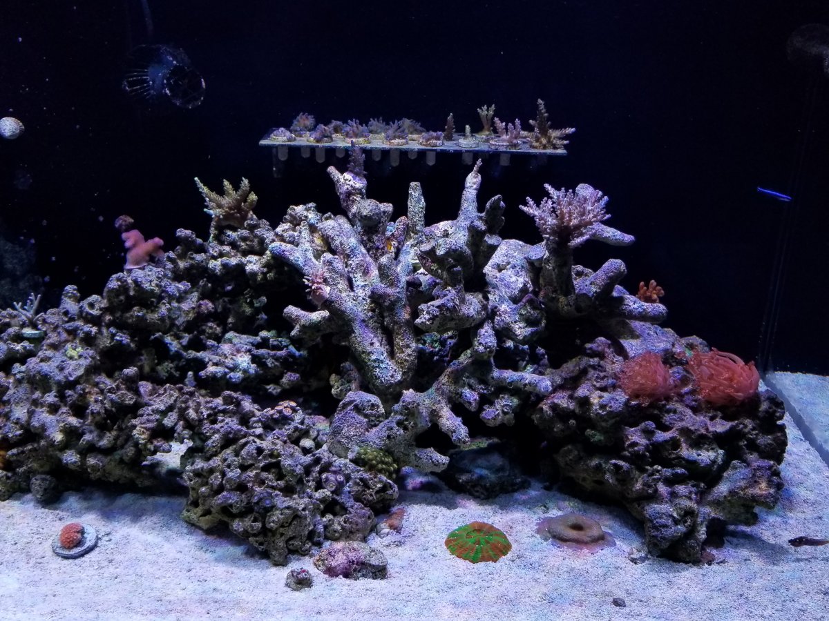 20171227_202601.jpg