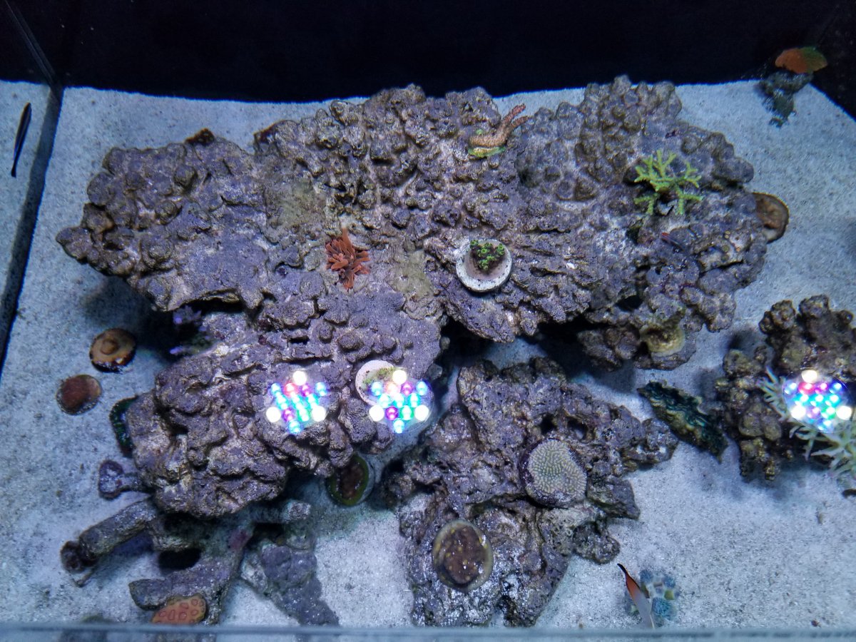 20171227_203229.jpg