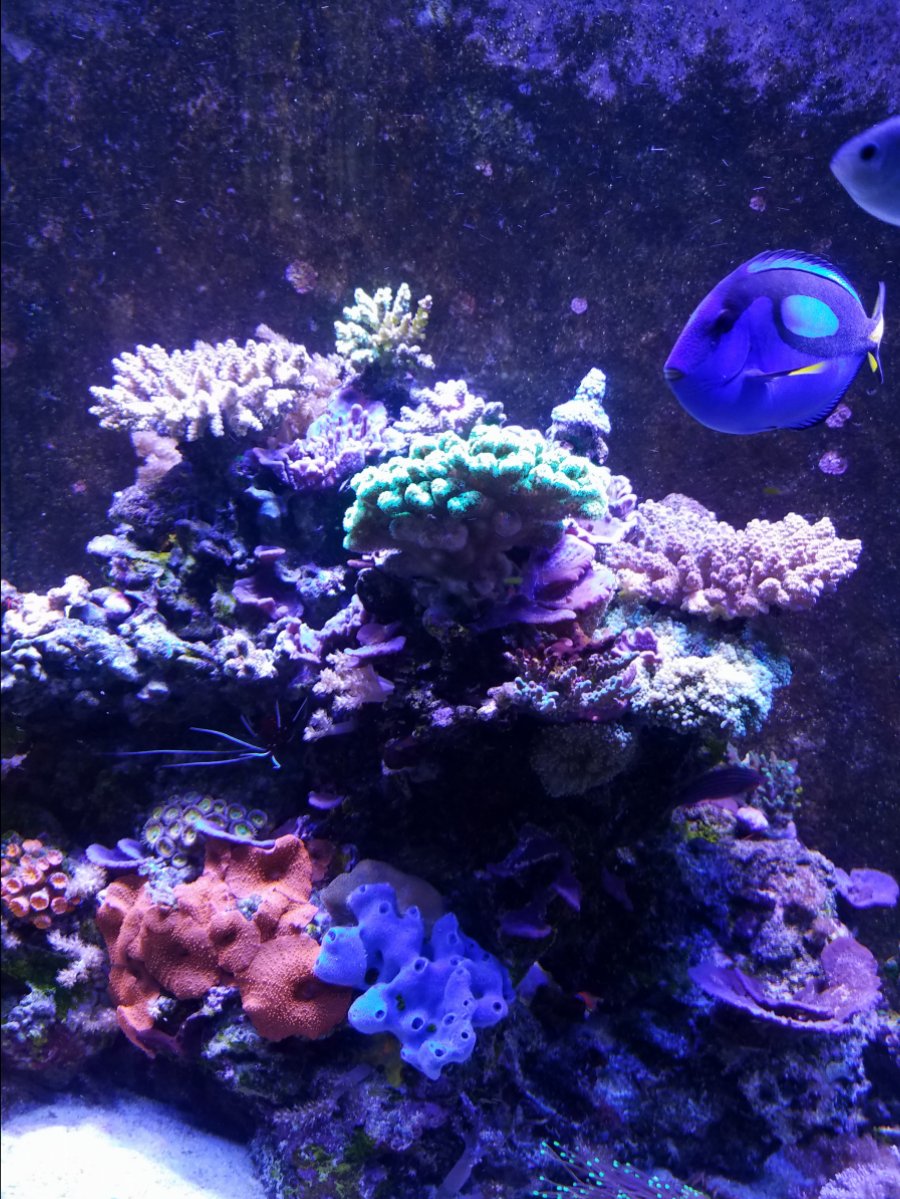 20171230_153059.jpg
