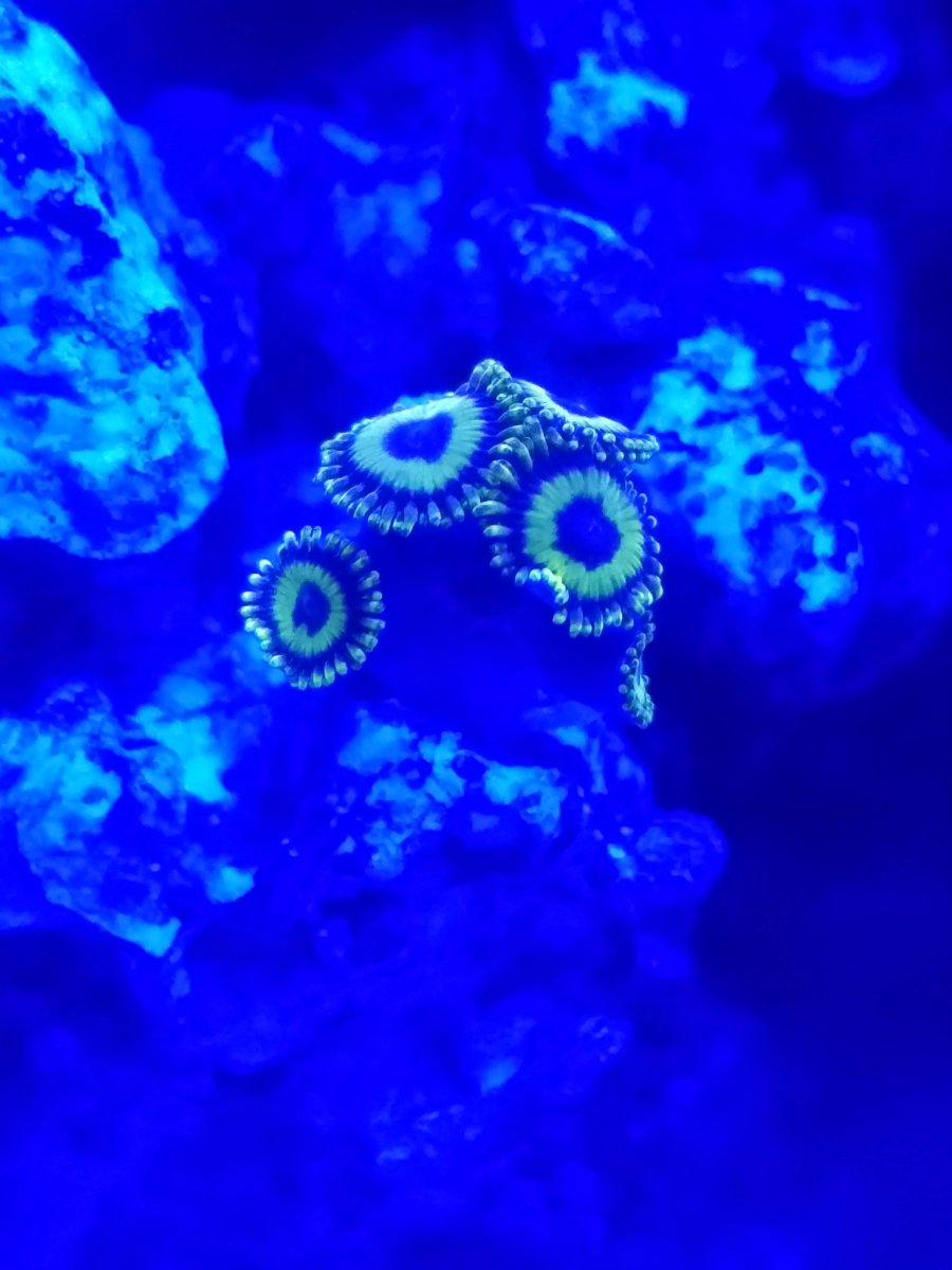 20180108182947.jpg