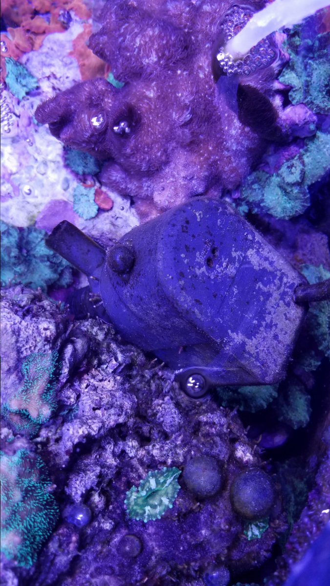 20180112_111920.jpg