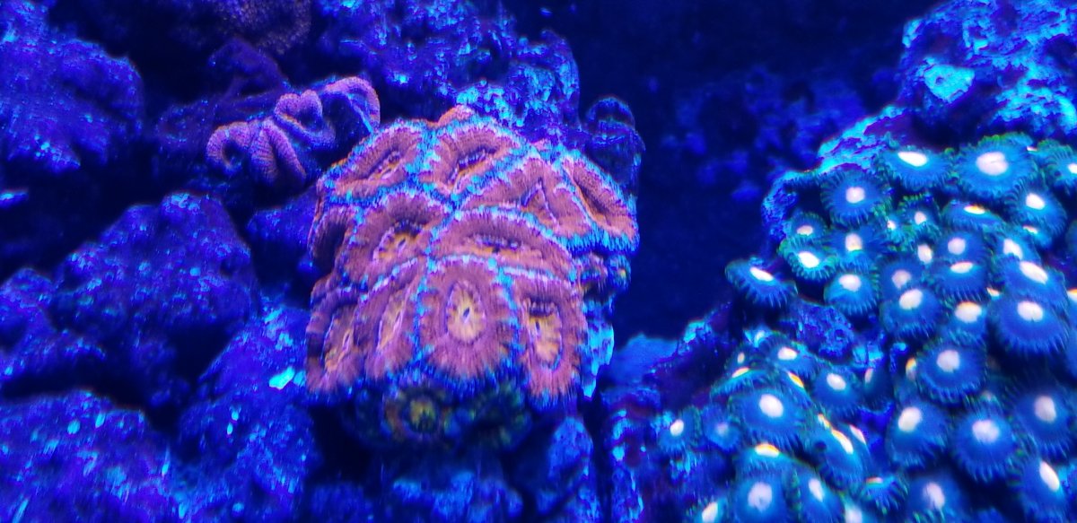 20180112_185048.jpg