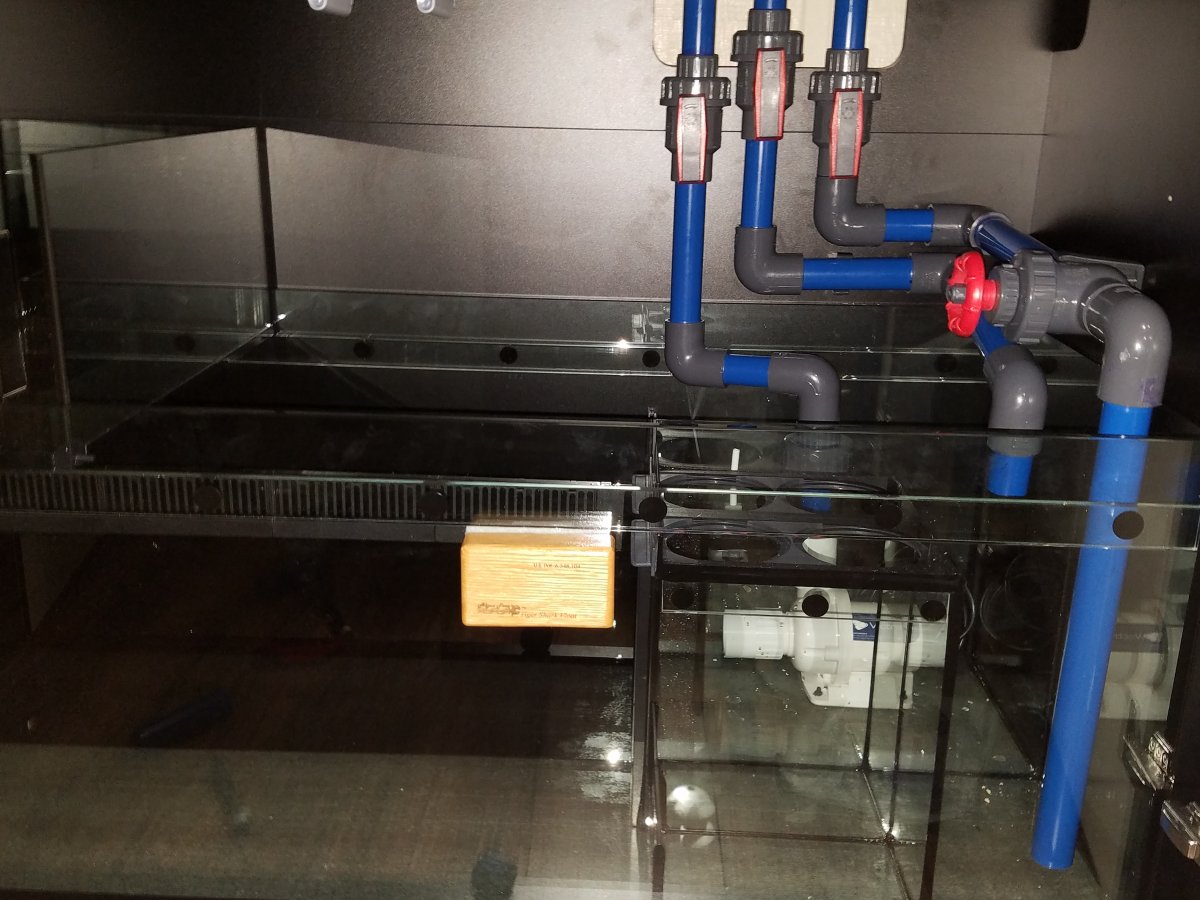 Build Thread Daltrey S Red Sea Reefer 750 Xxl Build Page 12 Reef2reef Saltwater And Reef Aquarium Forum