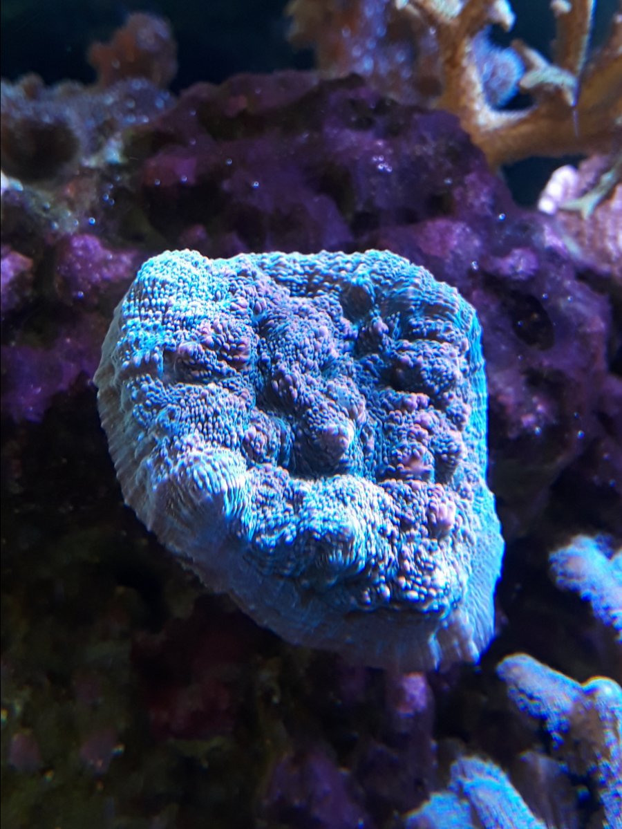 20180116_110611.jpg