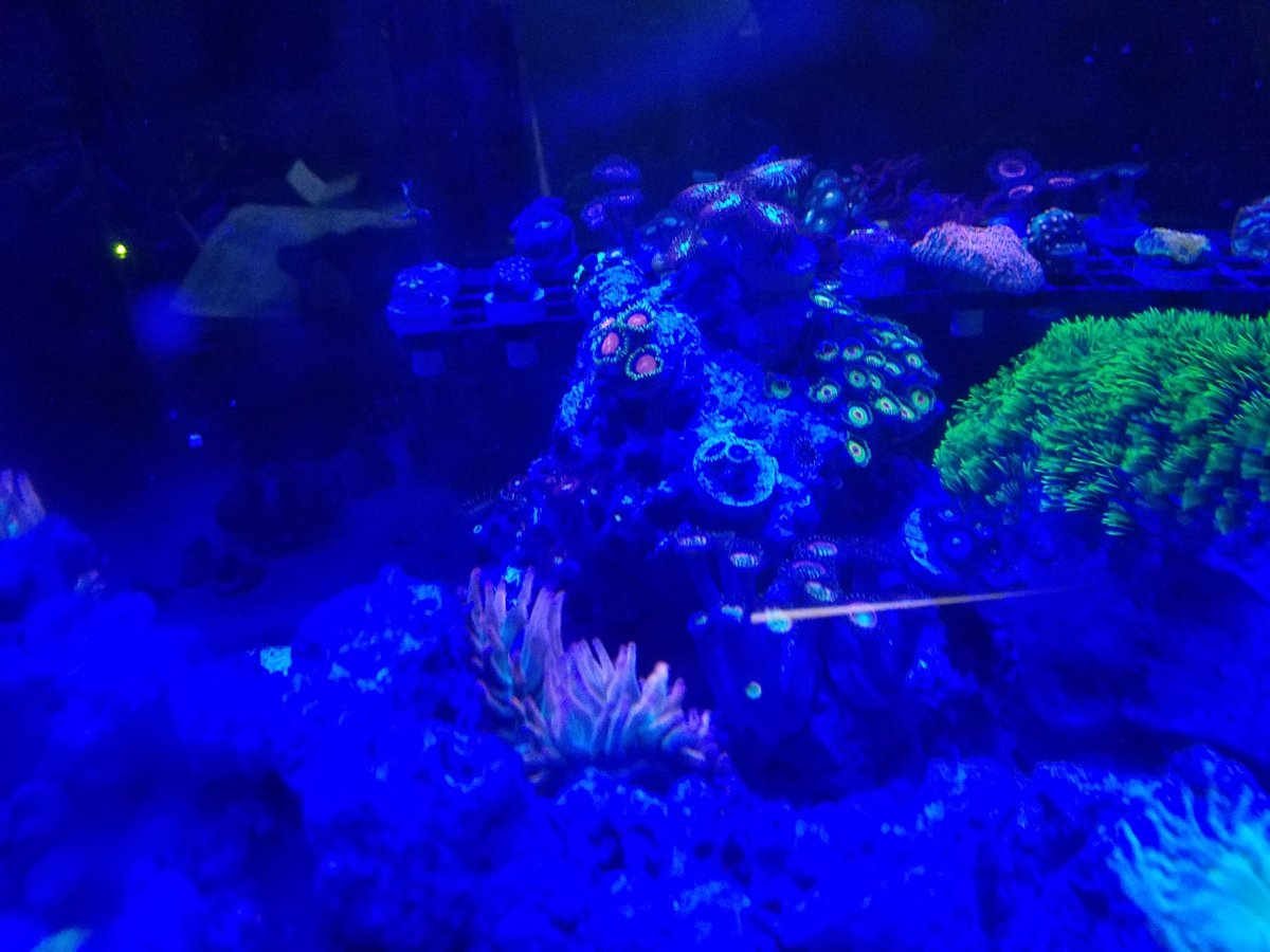 20180120_093328.jpg