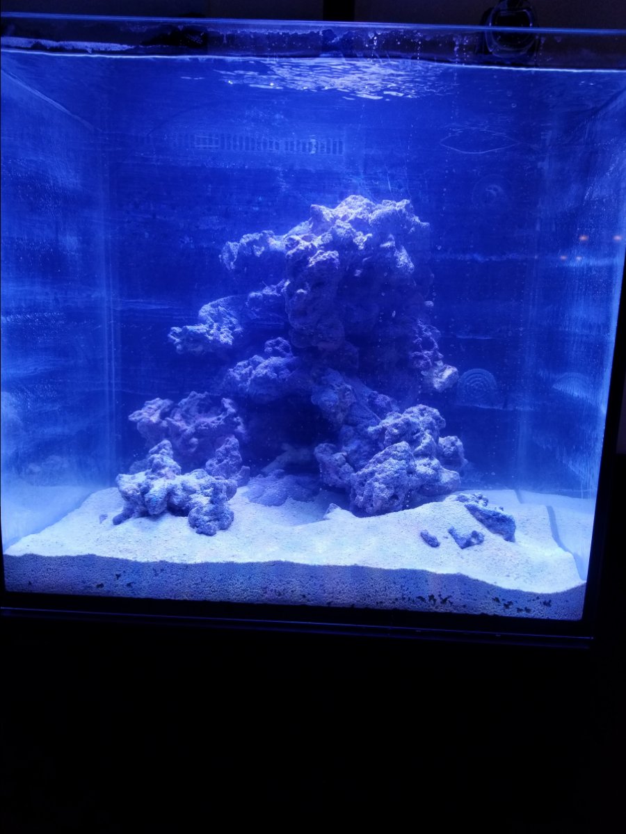 20180123_073412.jpg