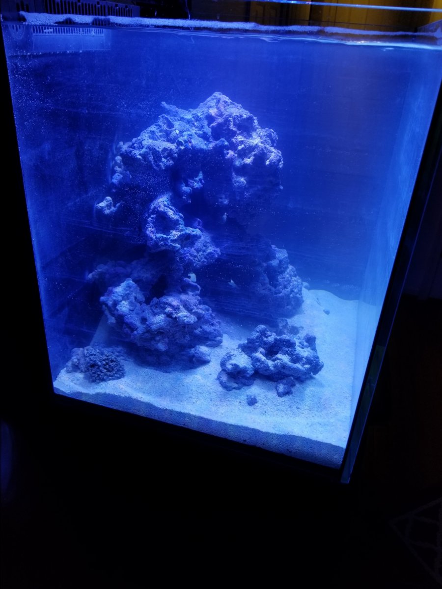 20180123_073417.jpg