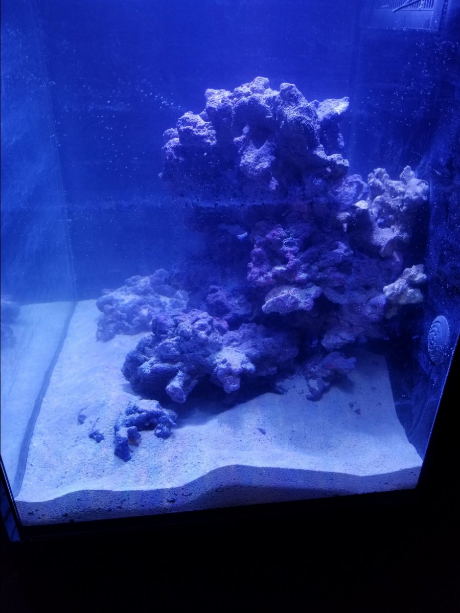20180123_073423.jpg