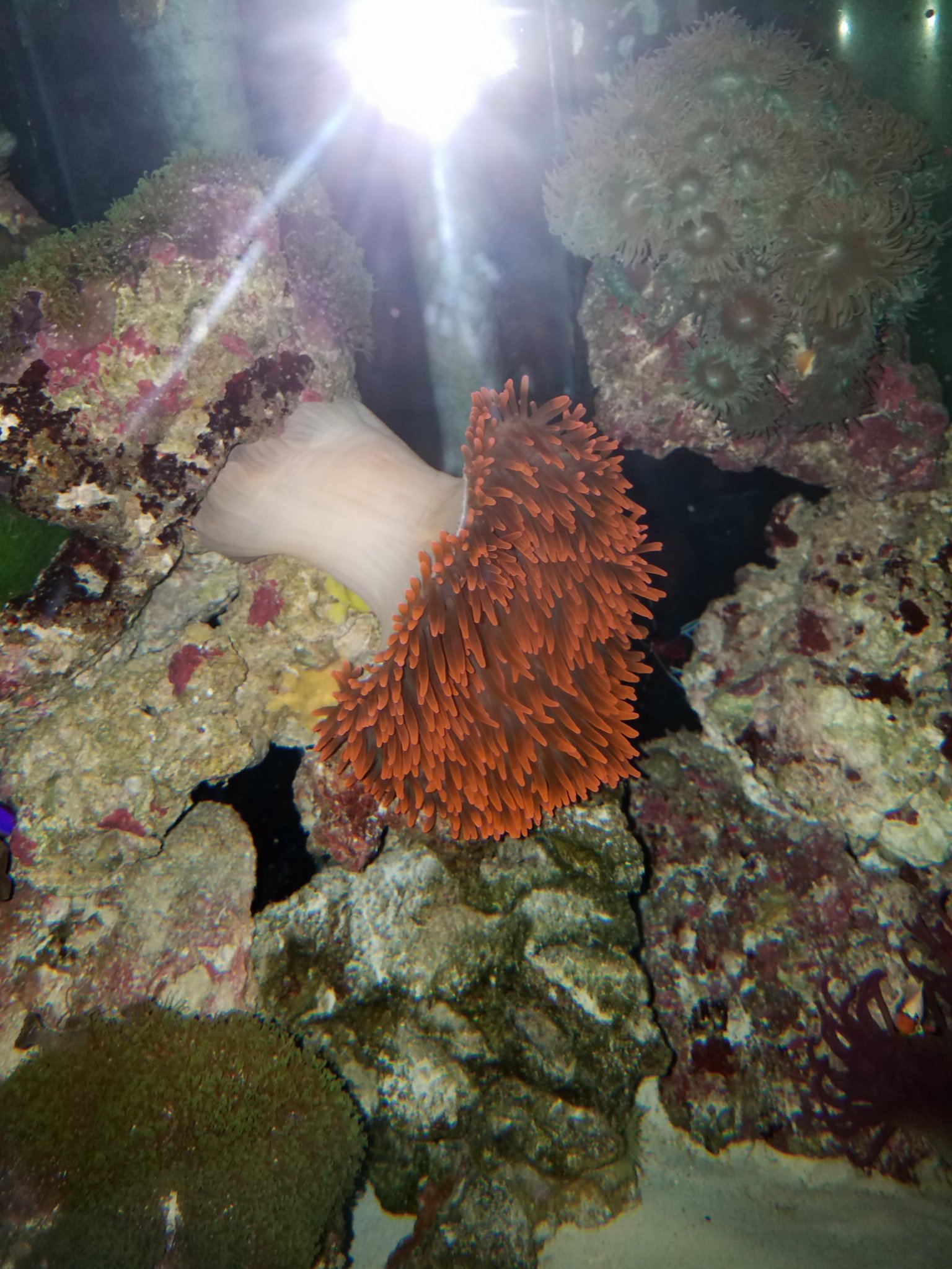 20180127_084838.jpg