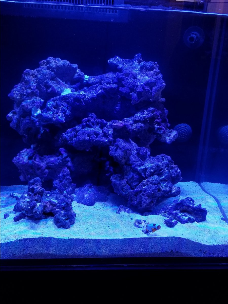 20180128_062438.jpg