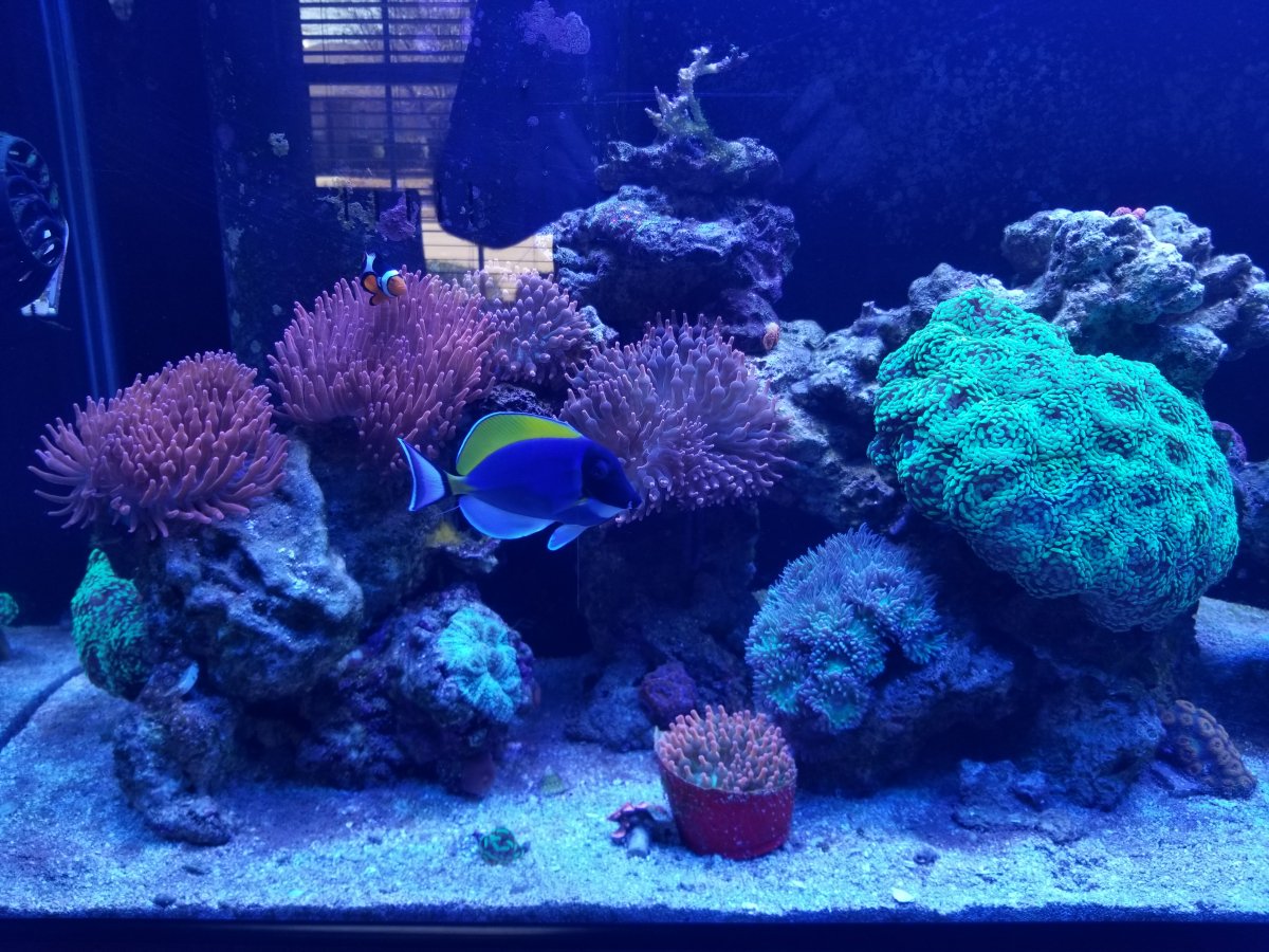 20180128_135620.jpg