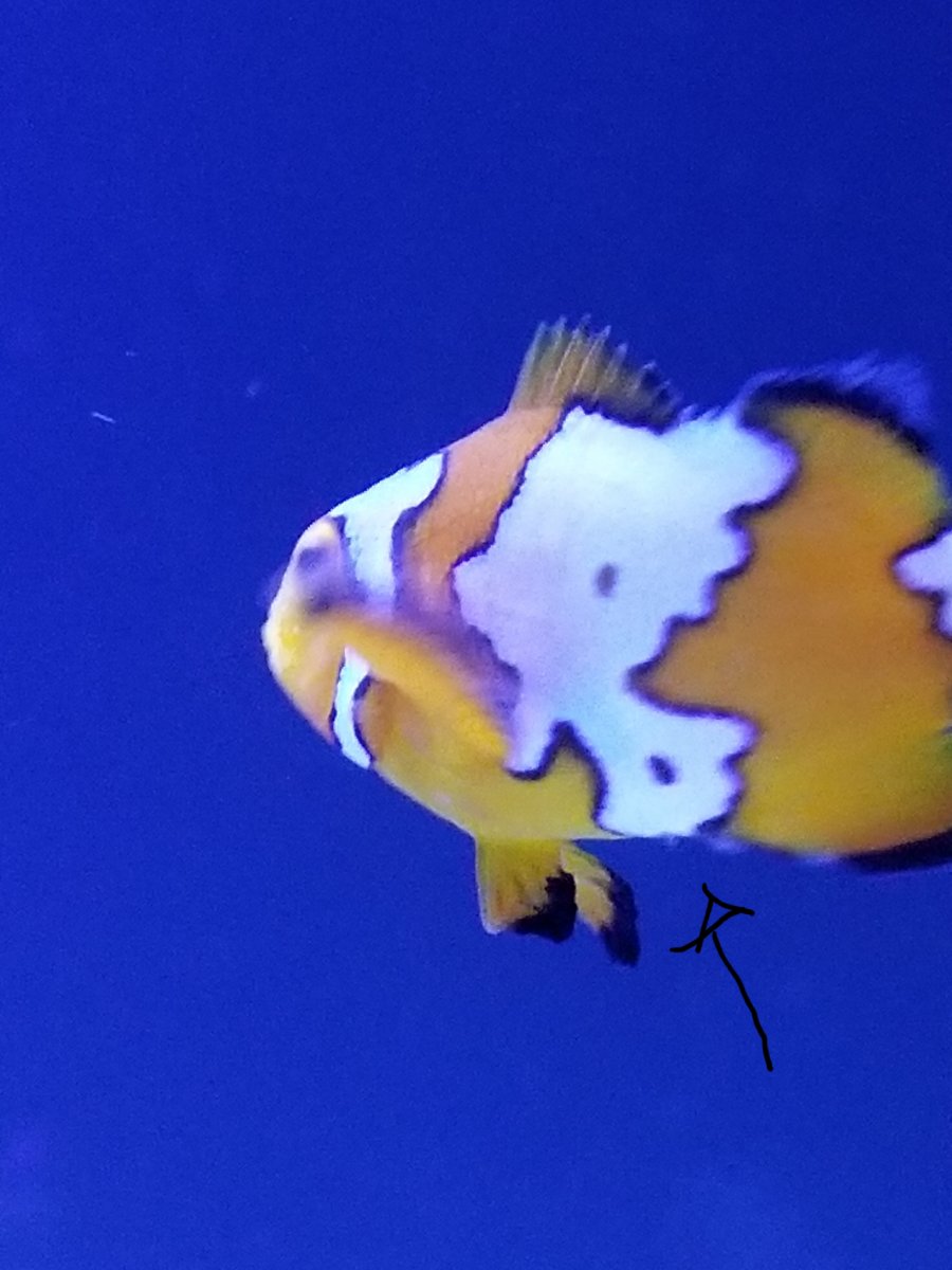 20180128_171815.jpg