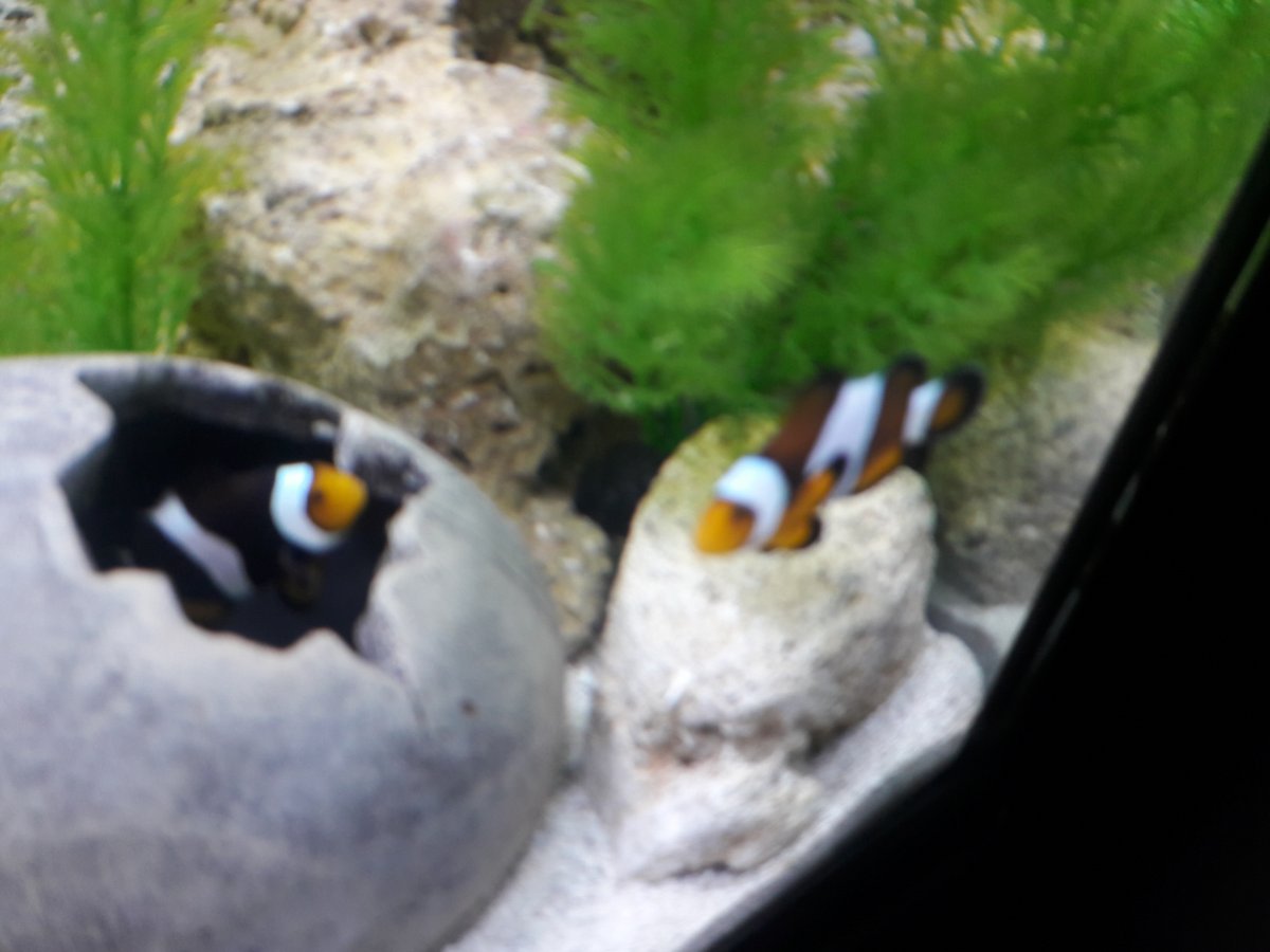 20180130_121447.jpg