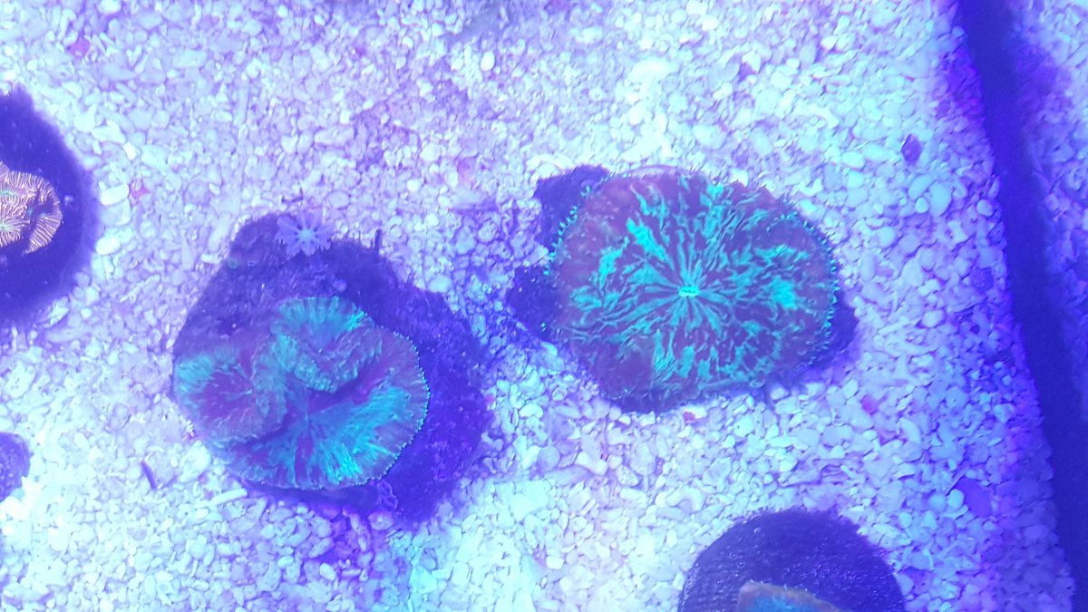 20180130_181847.jpg