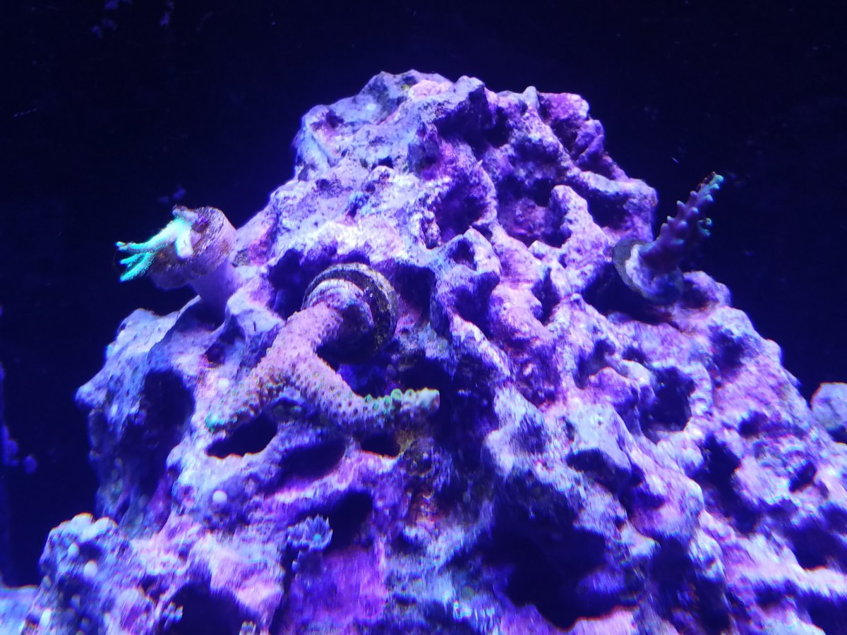 20180130_192141.jpg