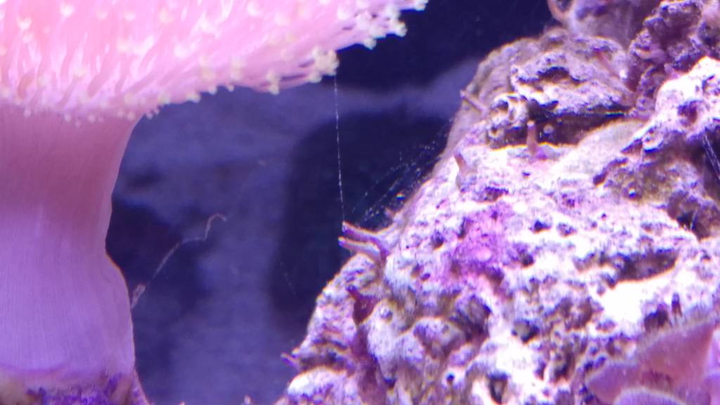 20180131_221004.jpg